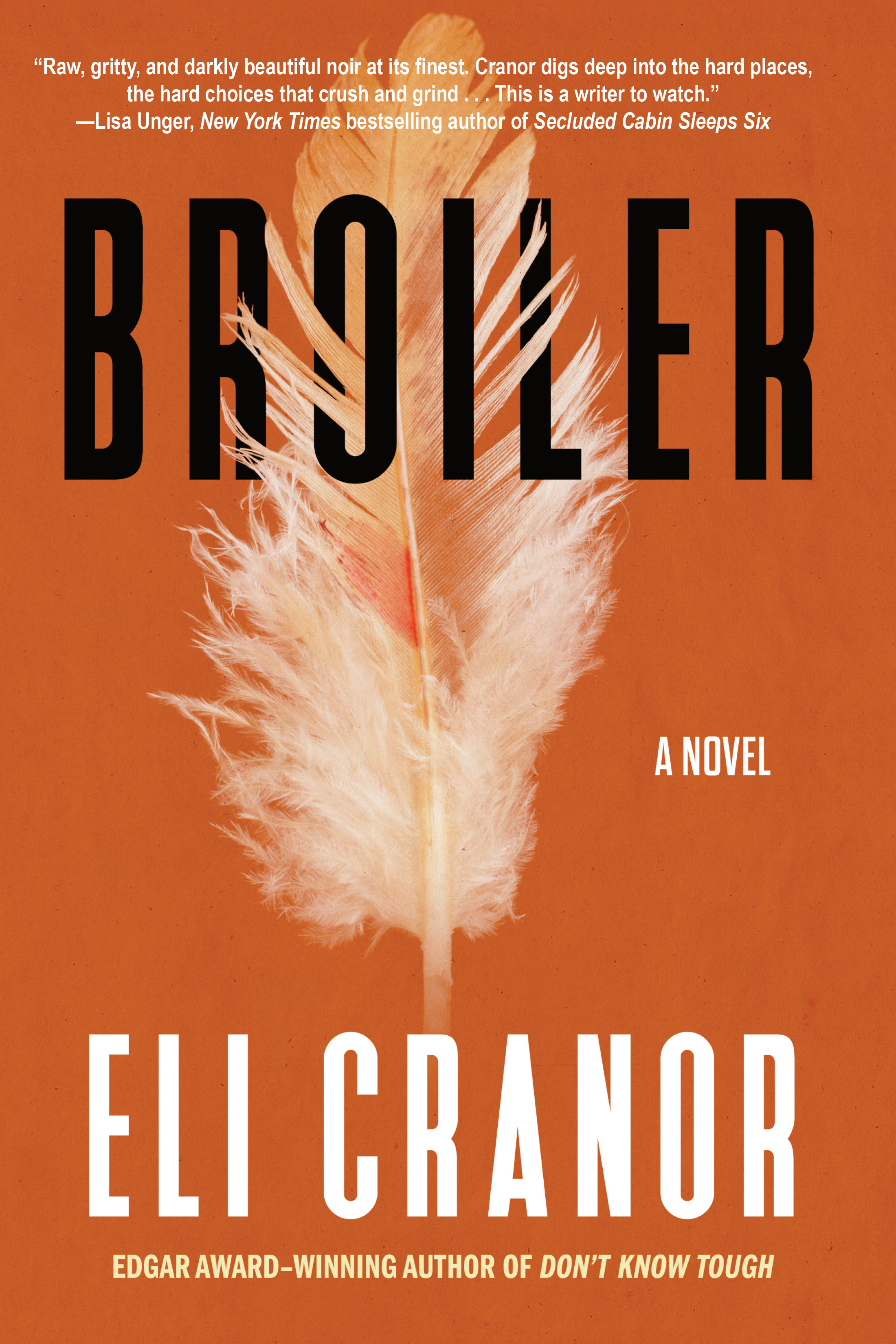 Broiler book cover