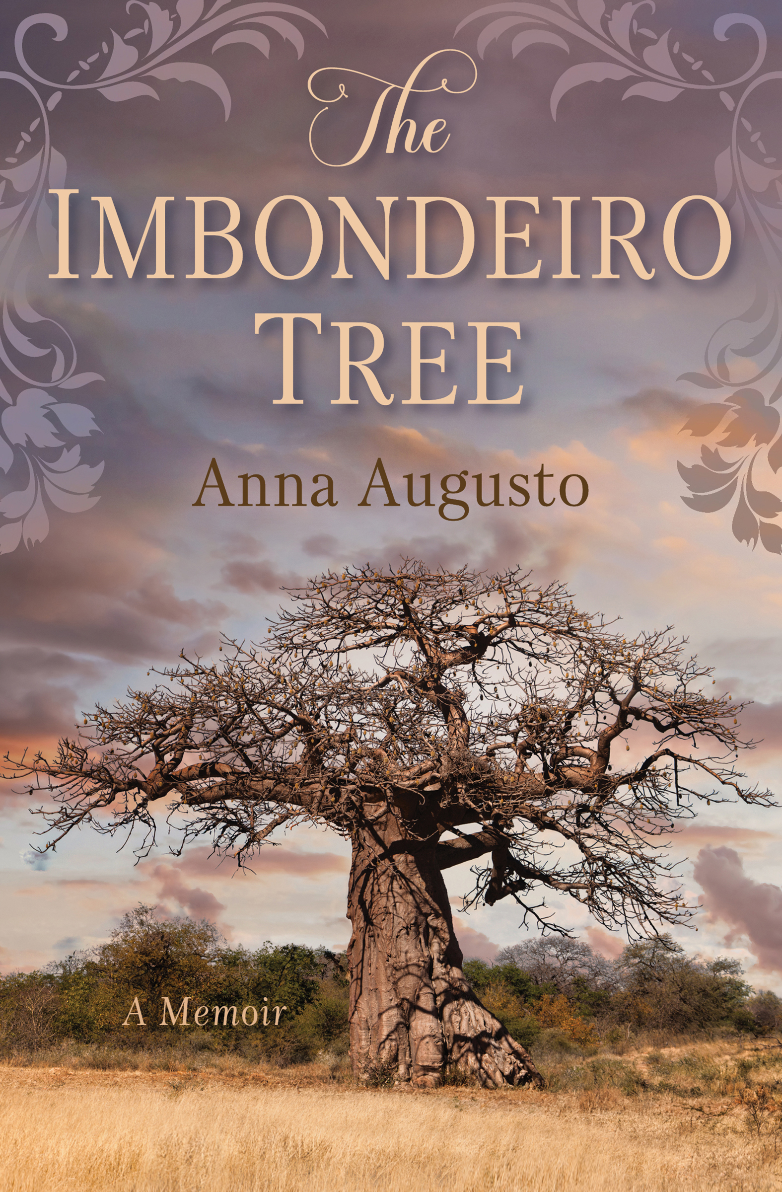 The Imbondeiro Tree by Augusto, Anna (2024) Paperback