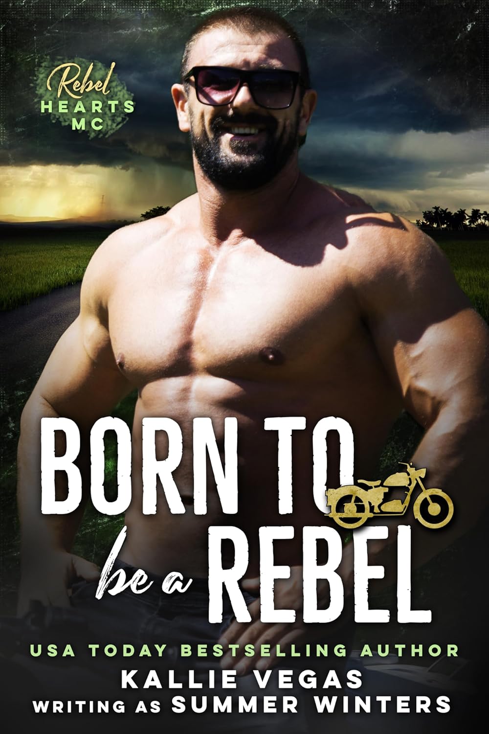 Rebel Hearts MC book cover 2