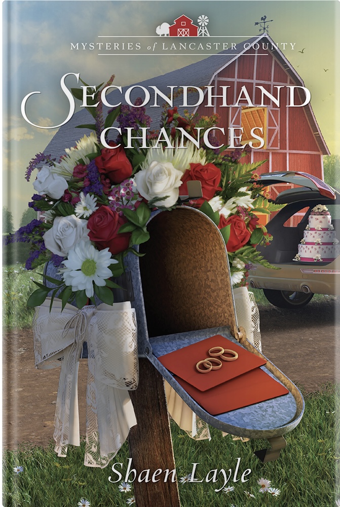 Secondhand Chances book cover