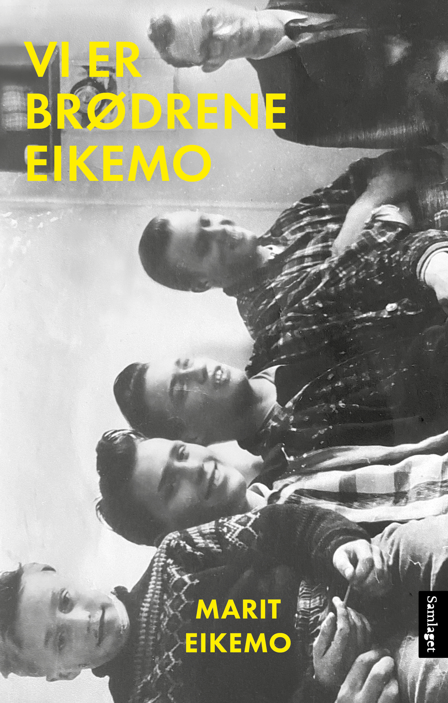 Vi er brødrene Eikemo book cover