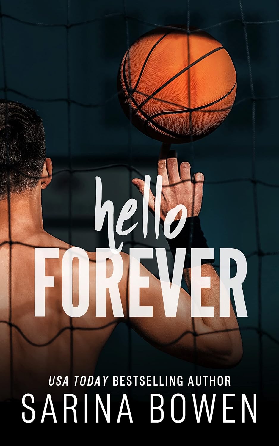 Hello Forever (Hello Goodbye #2)