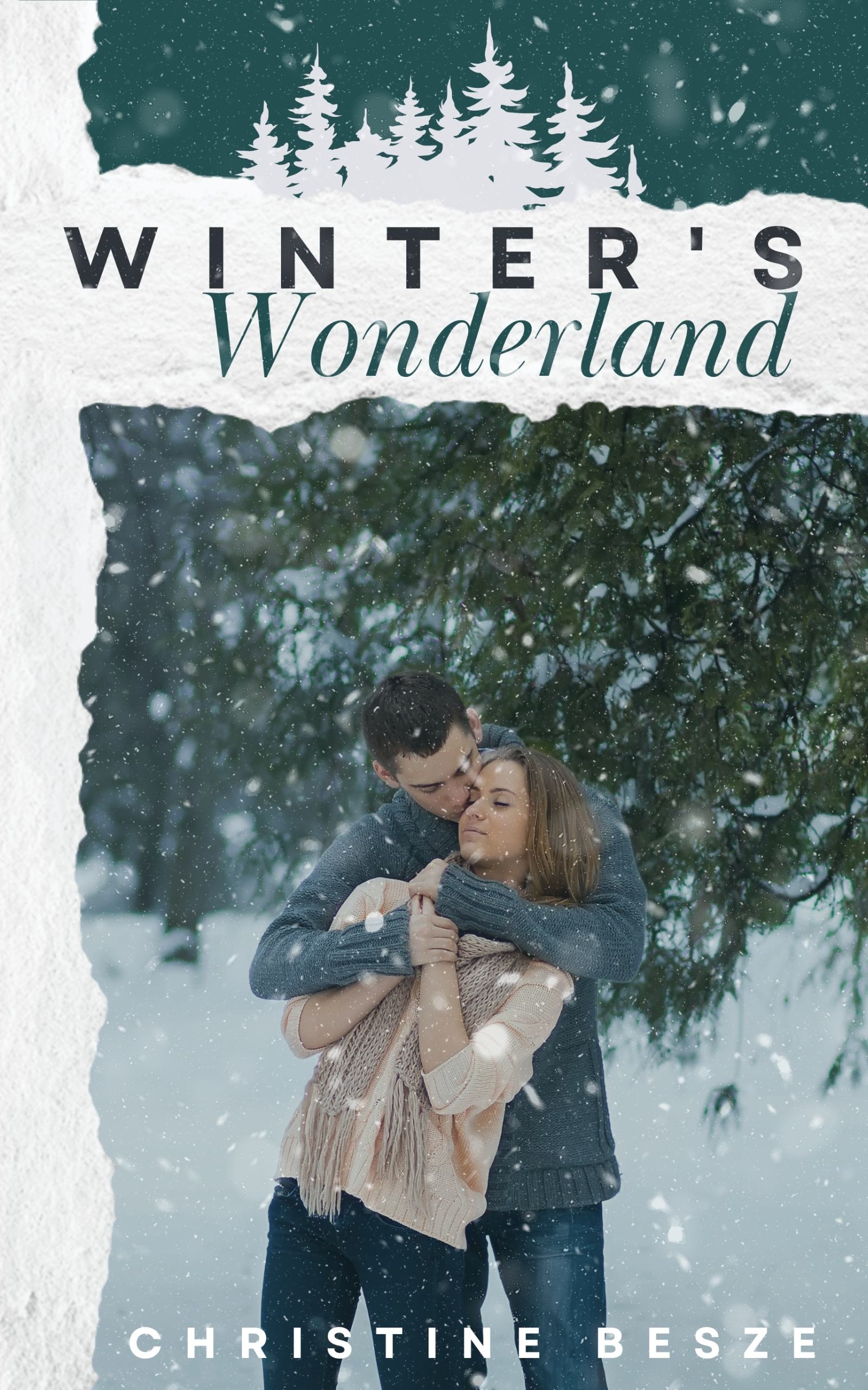 Winter's Wonderland book cover