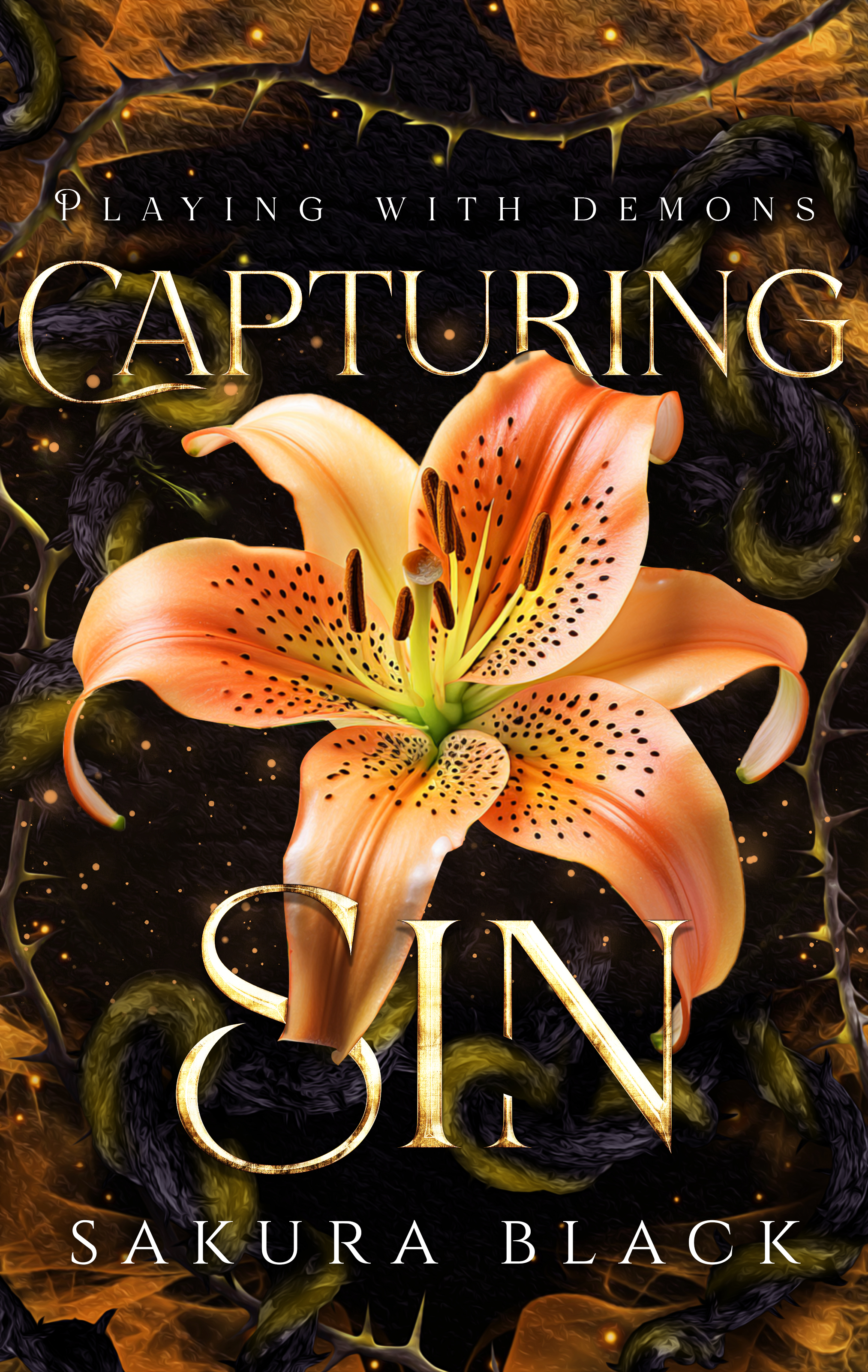 Capturing Sin