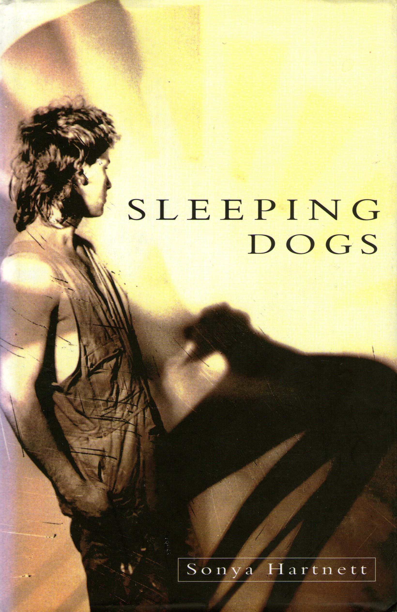 Sleeping Dogs cover