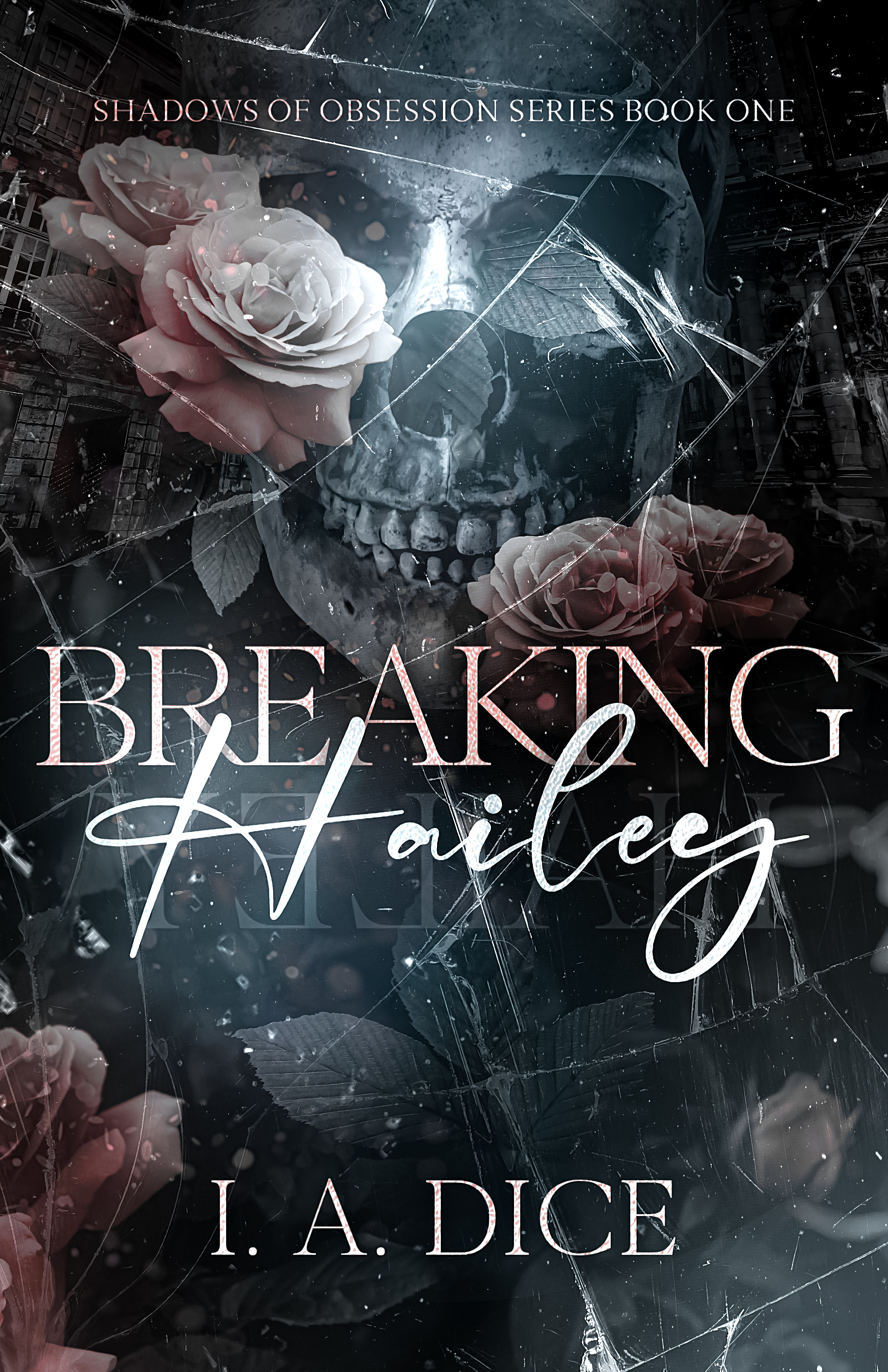 Breaking Hailey book cover