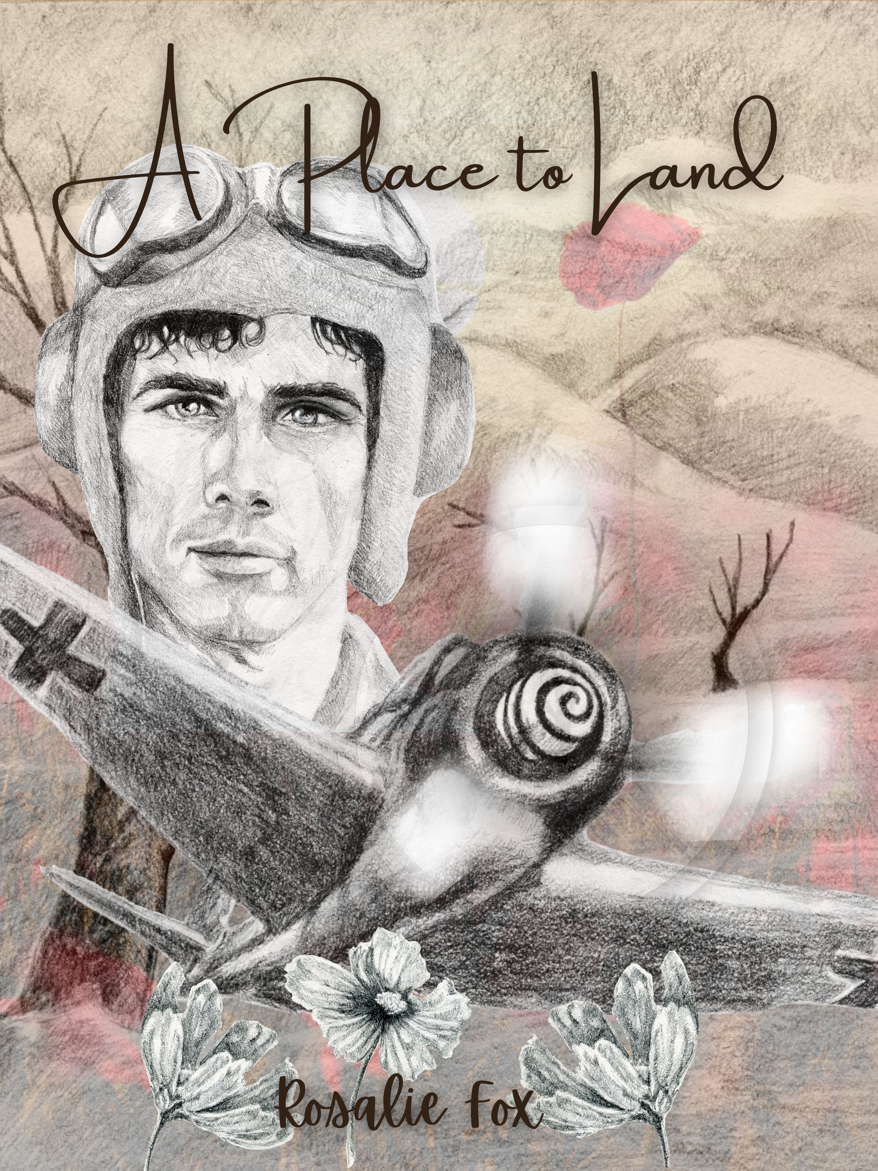A Place to Land