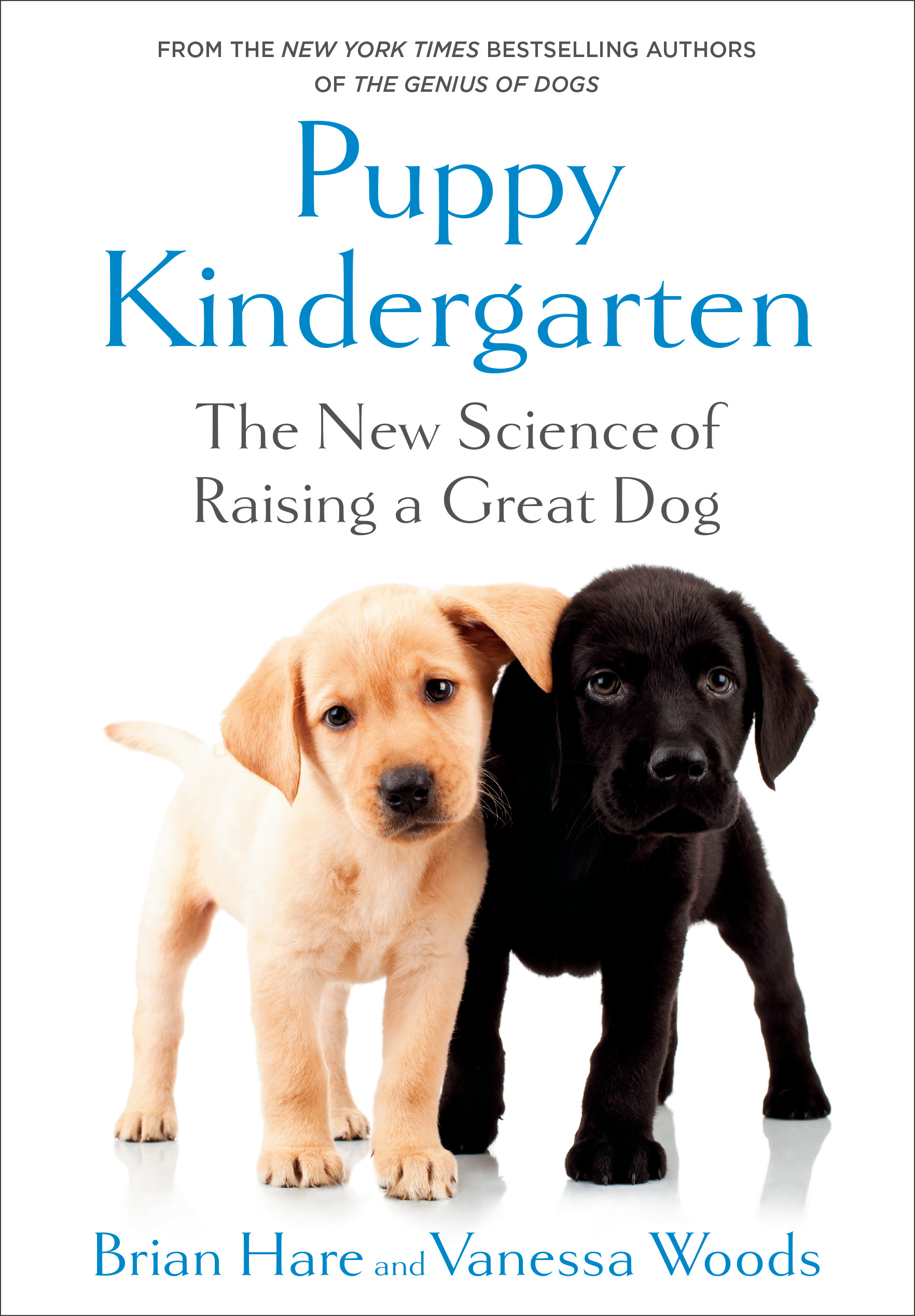 Puppy Kindergarten: The New Science of Raising a Great Dog
