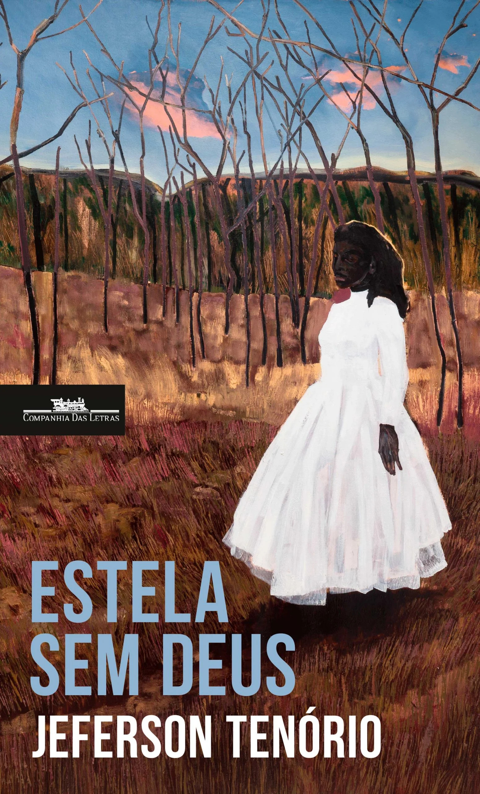Estela sem Deus book cover