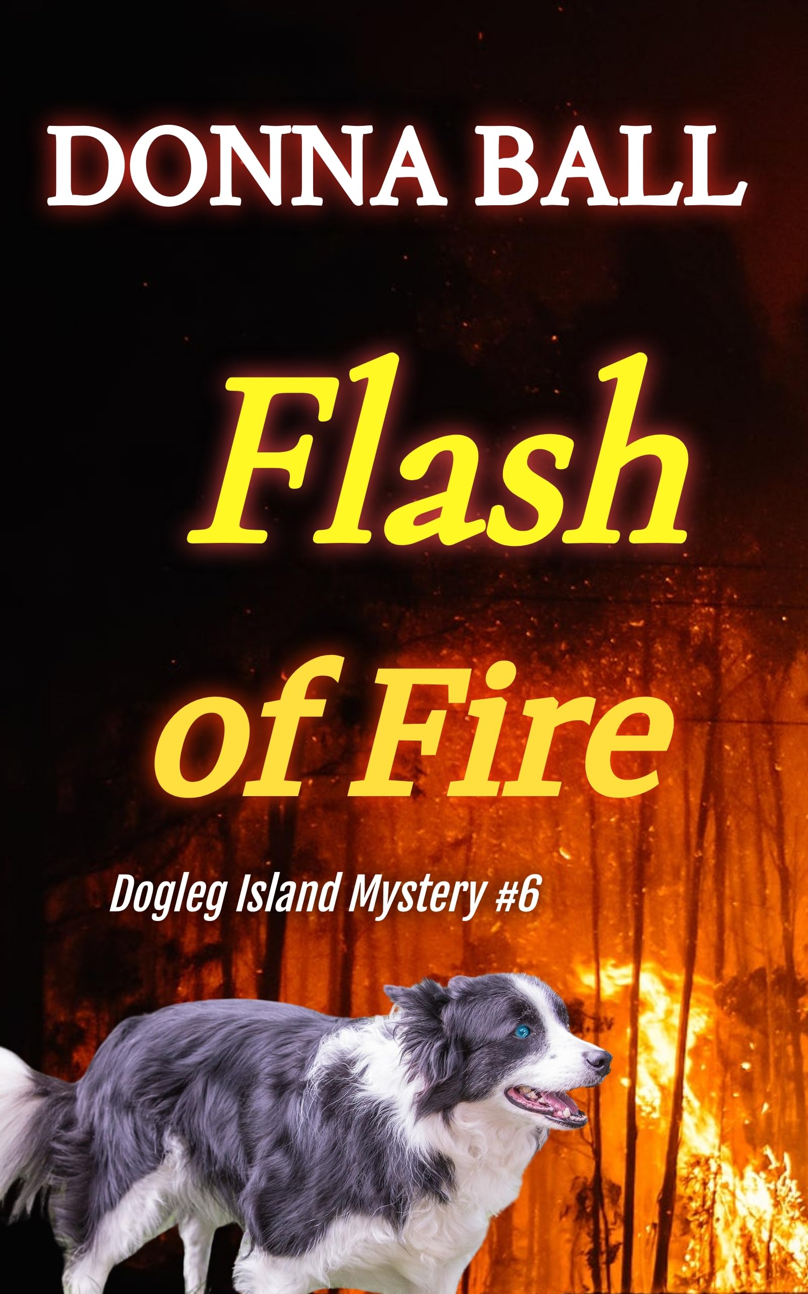 Flash of Fire book cover