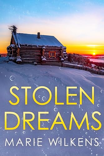 Stolen Dreams: A Small Town Riveting Kidnapping Mystery Thriller Boxset