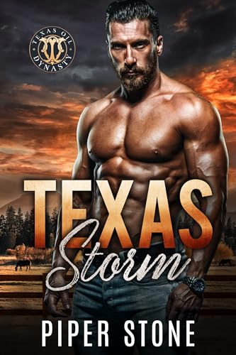 Texas Storm book cover