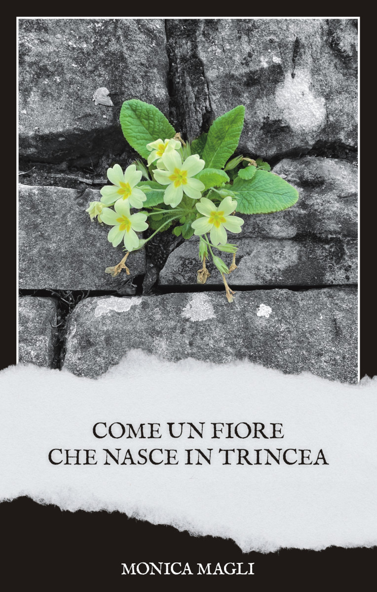 Come un fiore che nasce in trincea