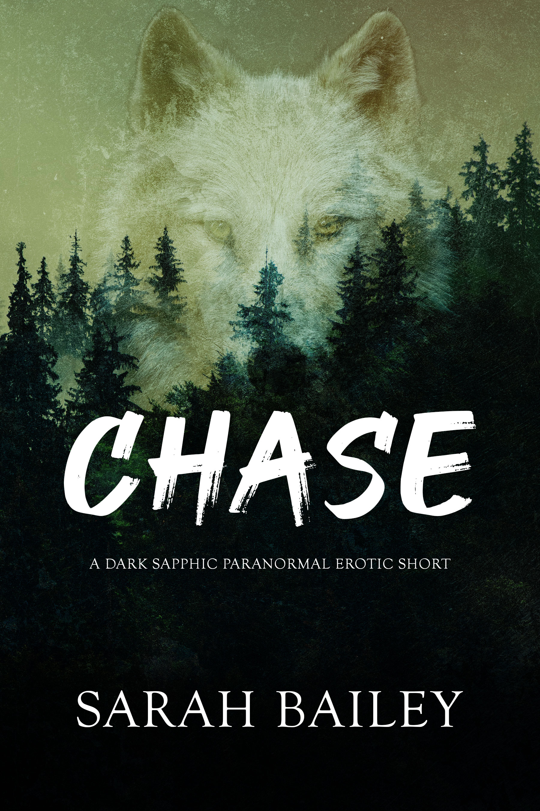 Chase book cover