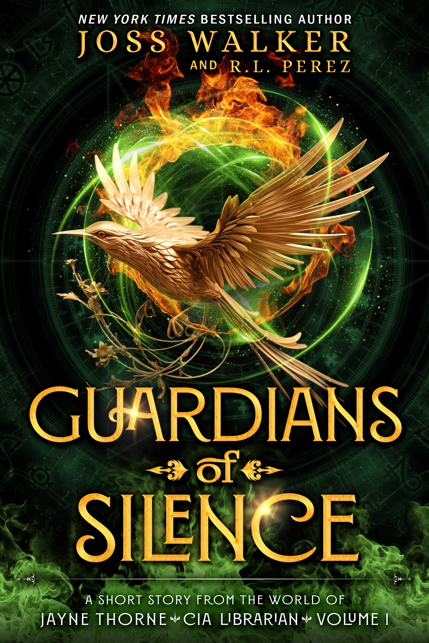 The Guardians book cover 1