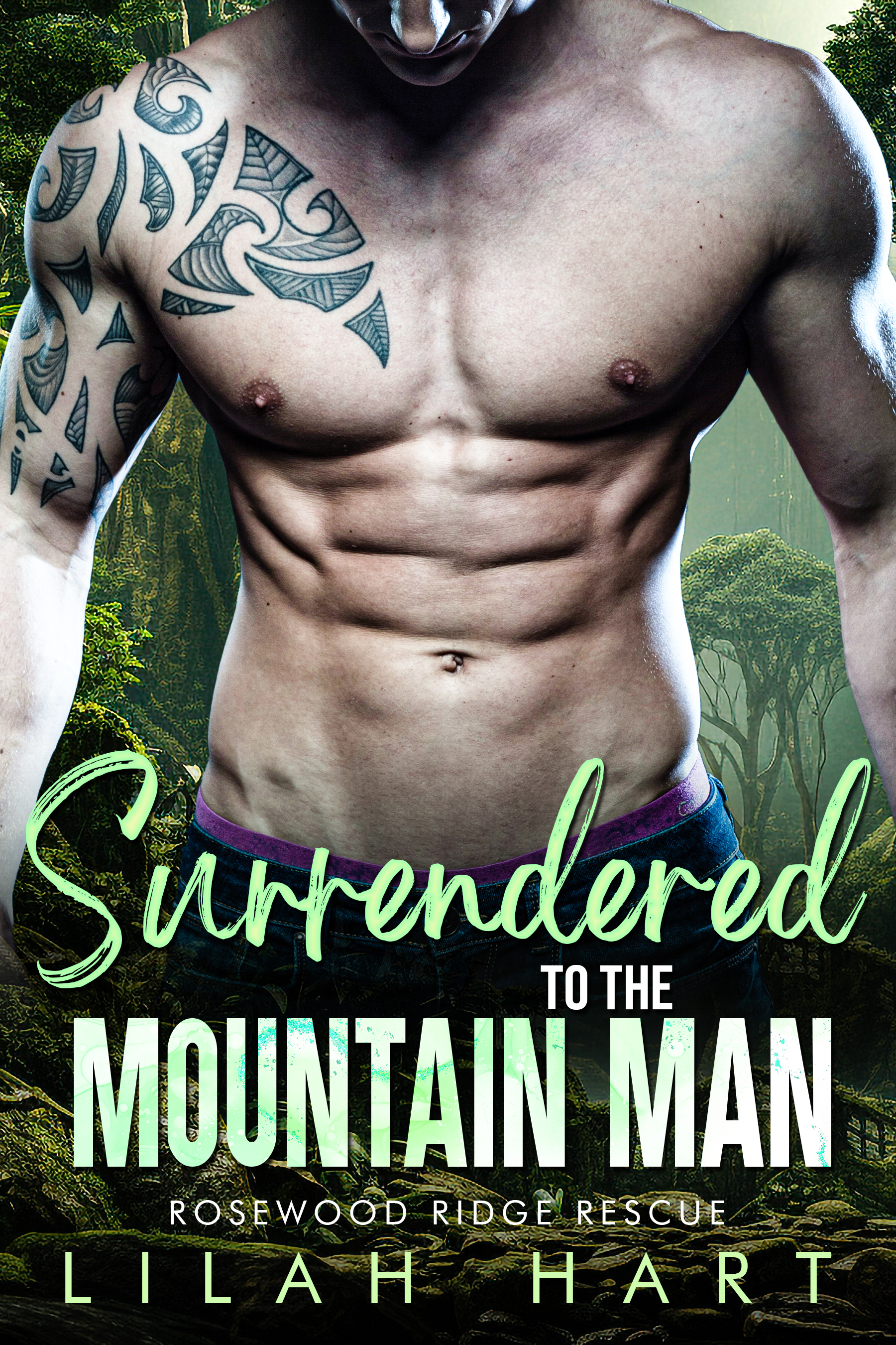 Surrendered to the Mountain Man book cover