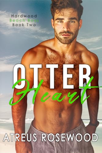 Hardwood Beach Boys book cover 2