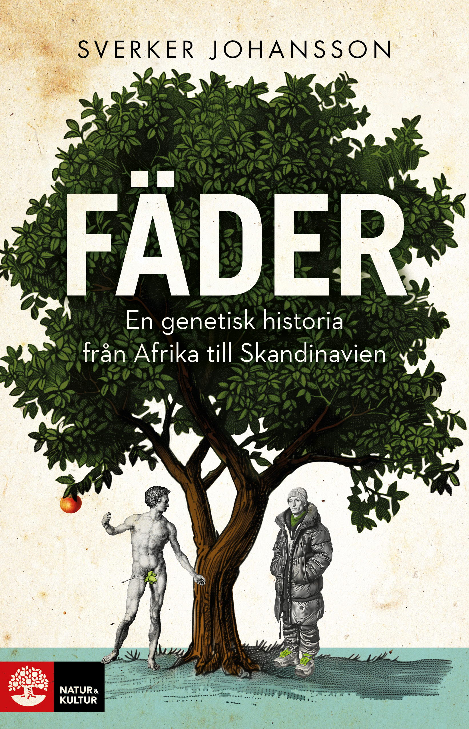 Fäder: En genetisk historia från Afrika till Skandinavien