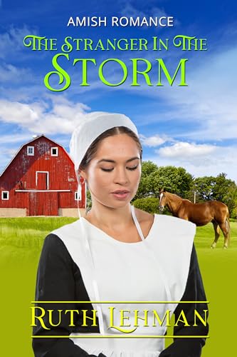 The Stranger In The Storm