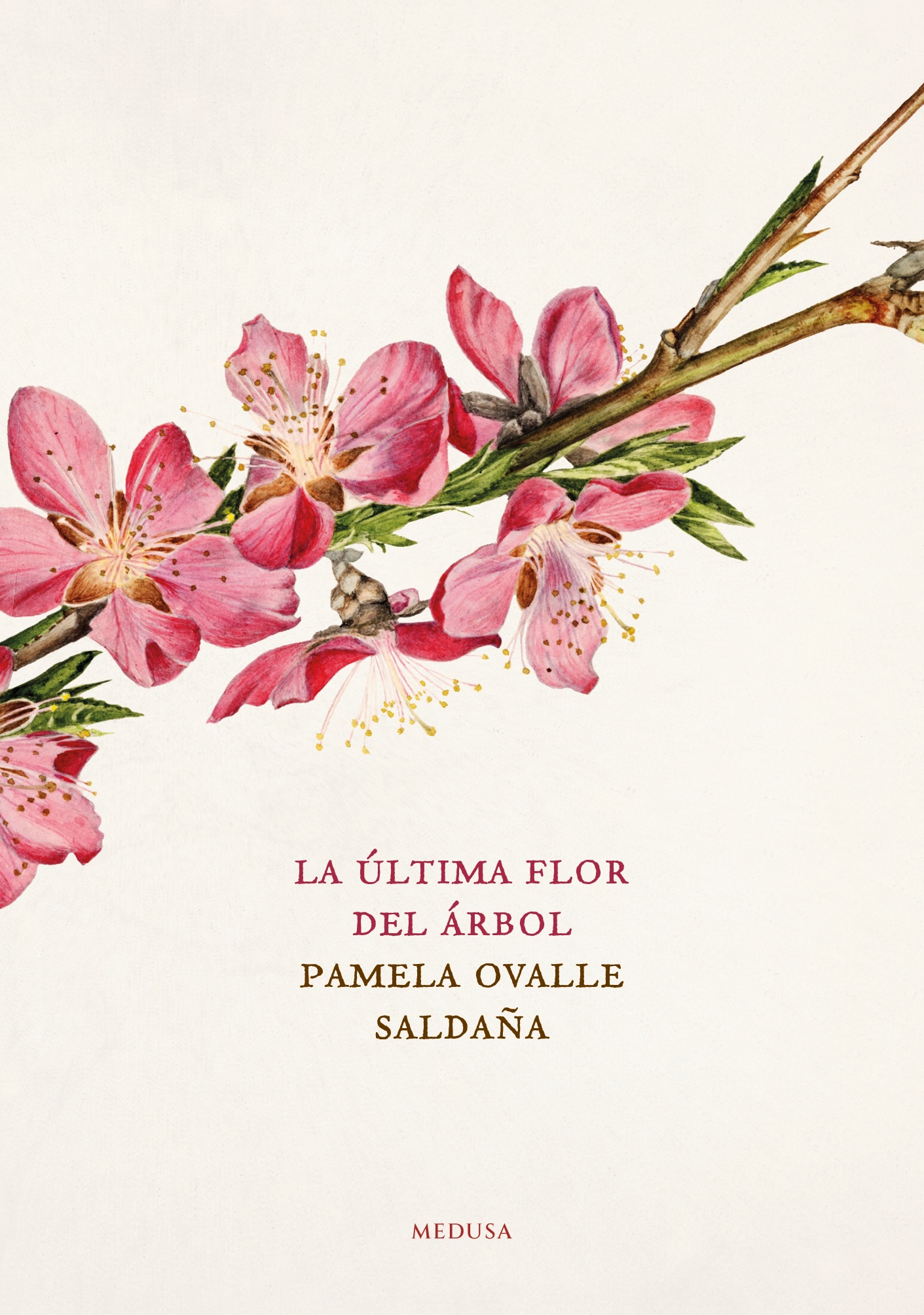 La última flor del árbol