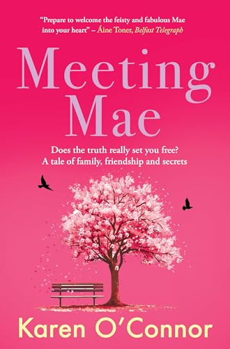 Meeting Mae: From Strangers to Soulmates, One Unforgettable Journey