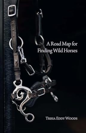 A Road Map for Finding Wild Horses