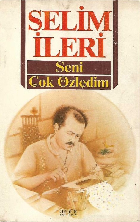 Seni Çok Özledim book cover