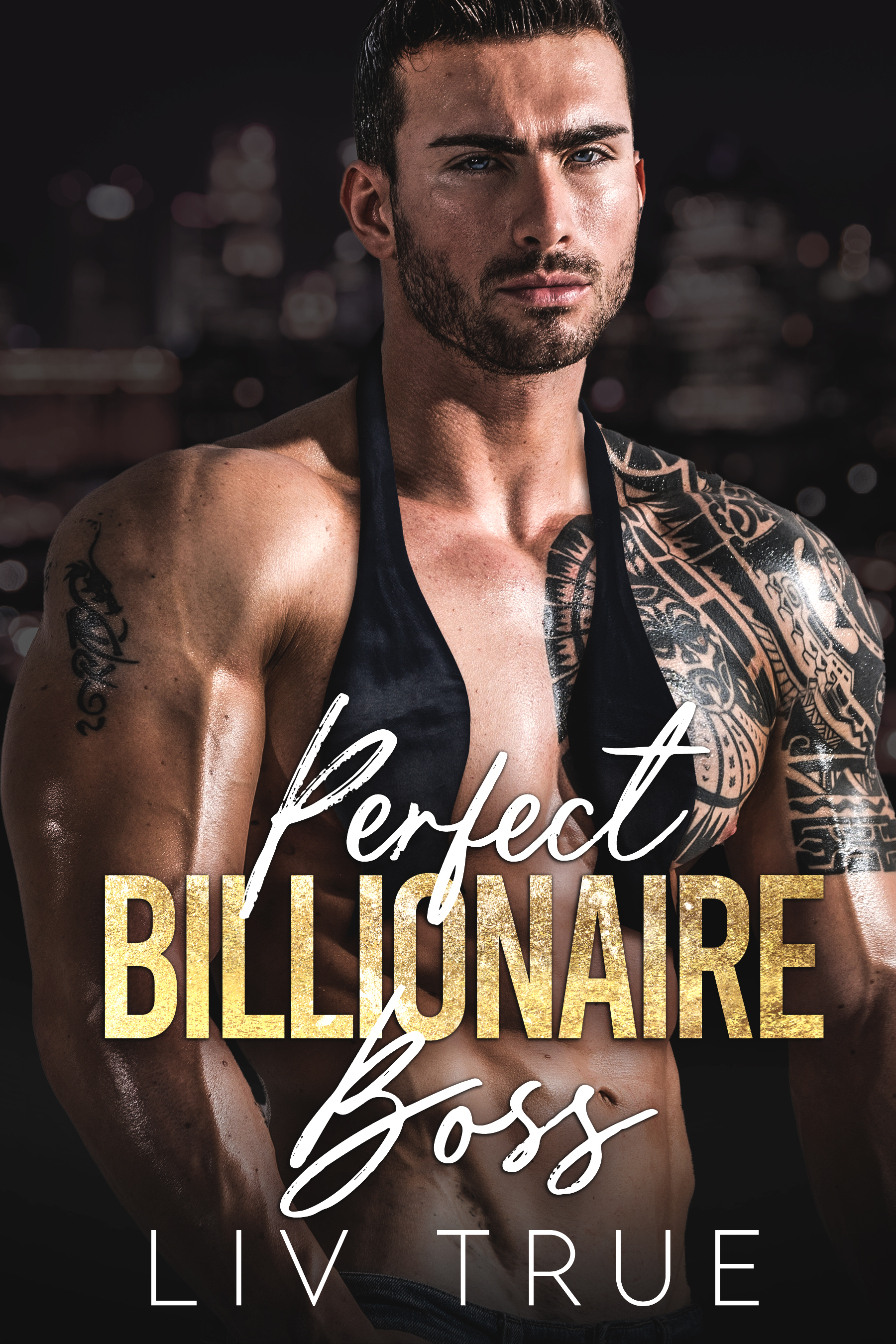 Perfect Billionaire Boss