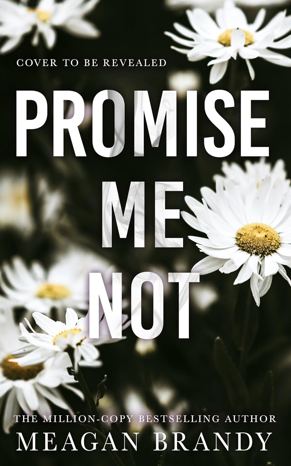 Promise Me Not (Boys of Avix #2)