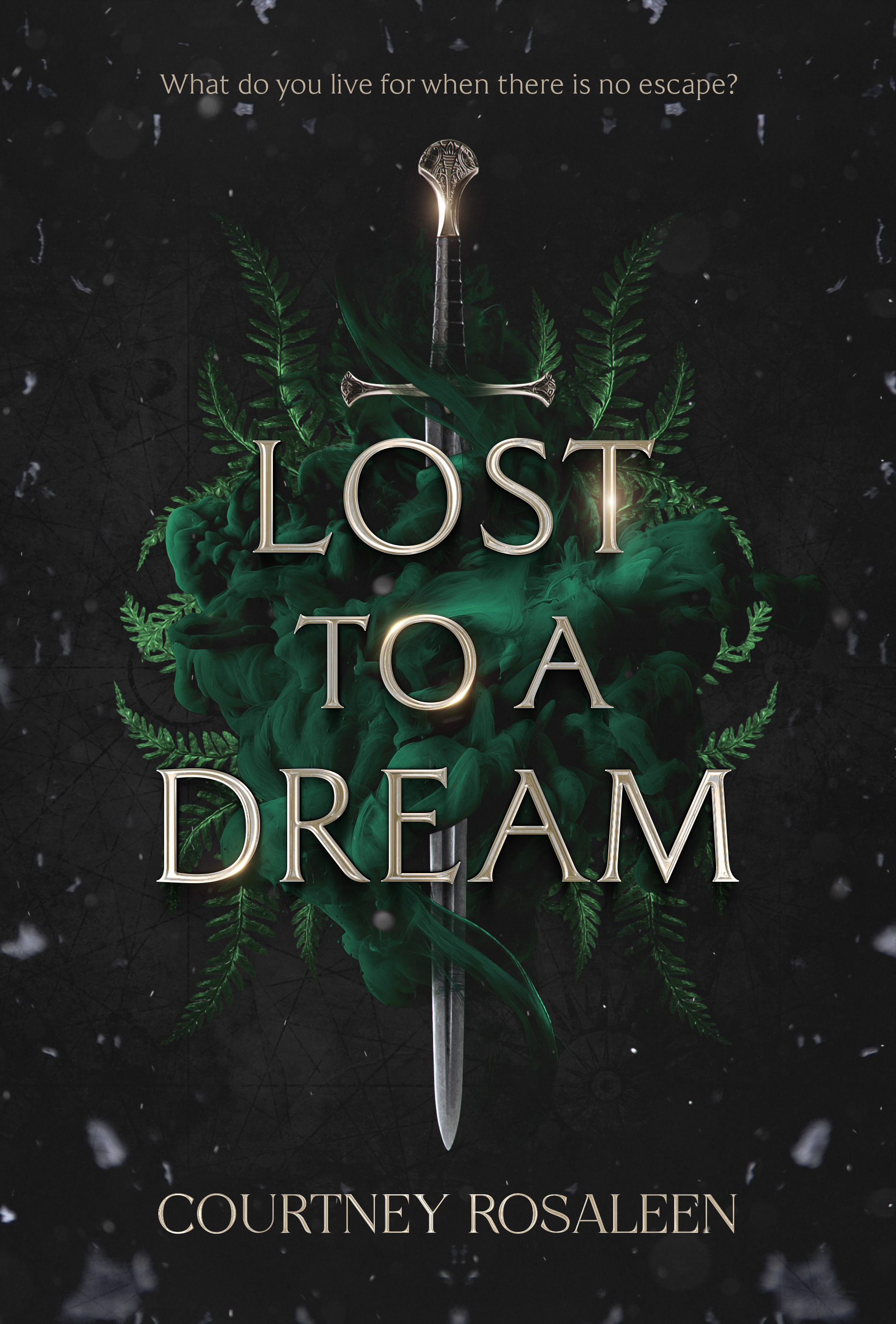 Lost to a Dream