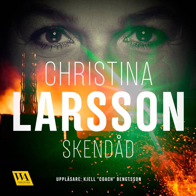 Skendåd book cover
