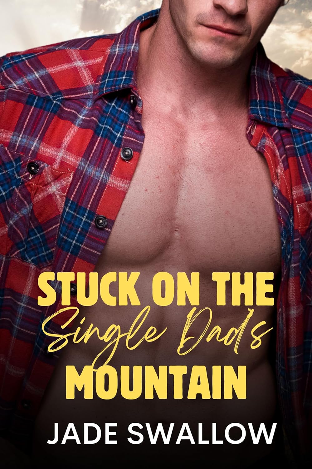 Stuck on the Single Dad's Mountain book cover