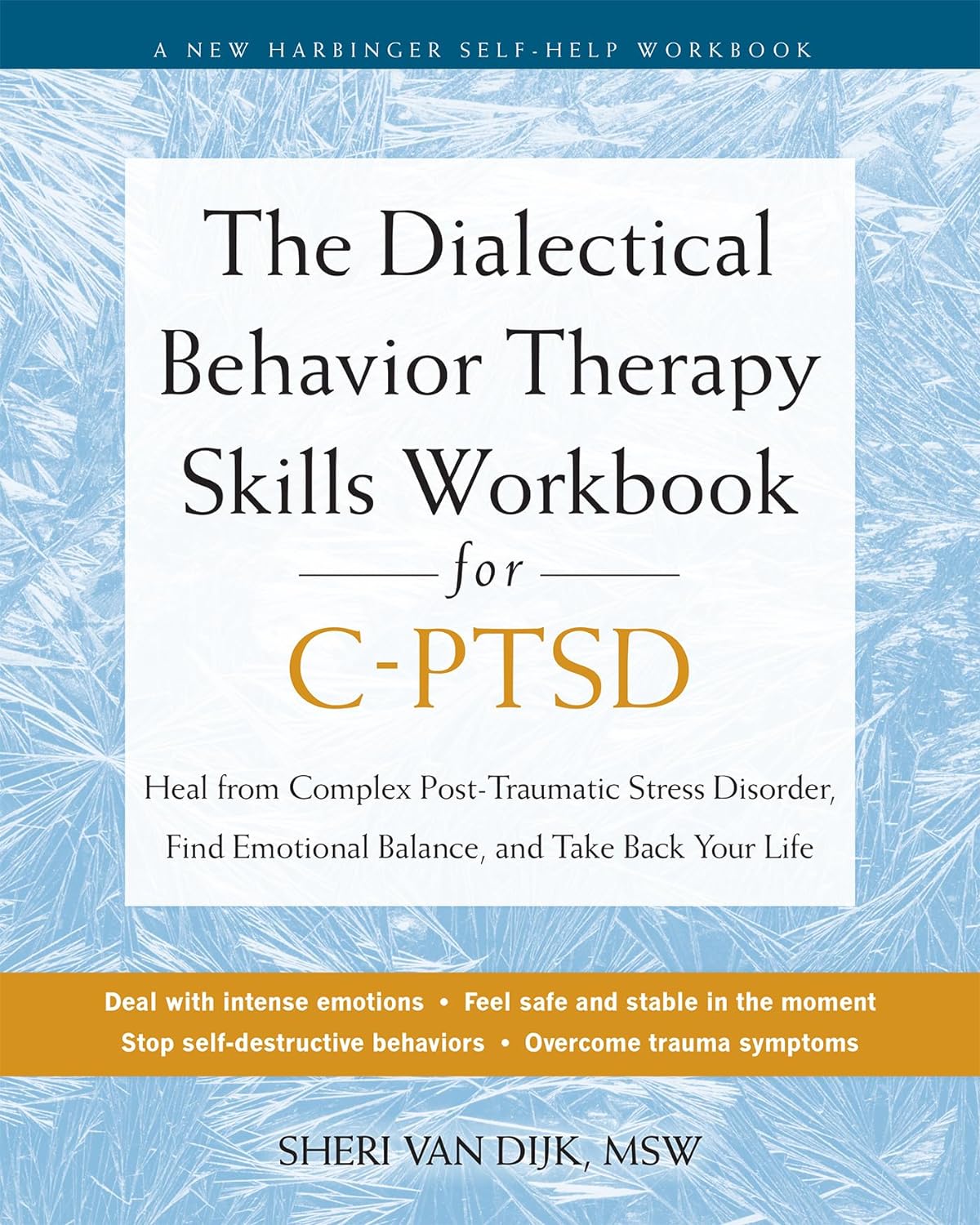 The Dialectical Behavior Therapy Skills Workbook for CPTSD: Heal from ...