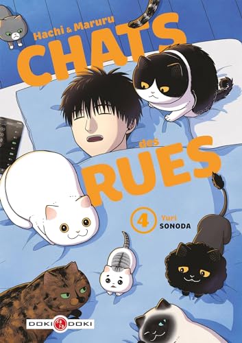 Hachi & Maruru - Chats des rues