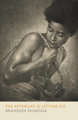 The Afterlife is Letting Go book cover