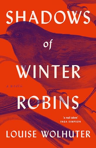 Shadows of Winter Robins