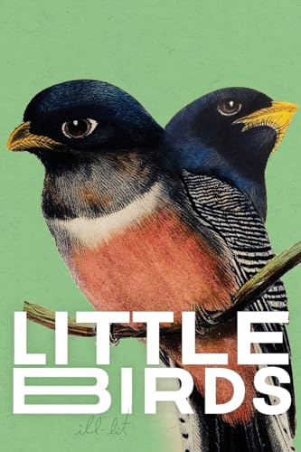Little Birds