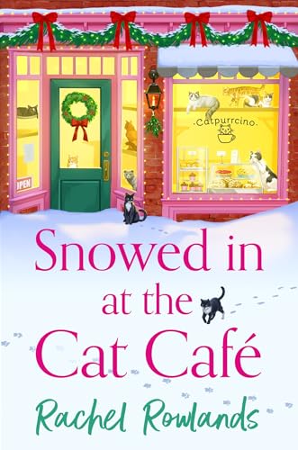 Snowed In at the Cat Café