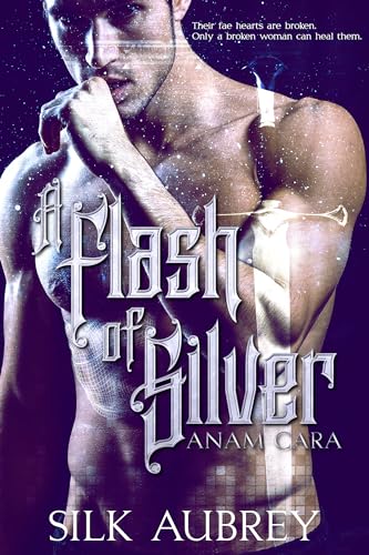 A Flash of Silver: A slow burn sci fi fantasy reverse harem series