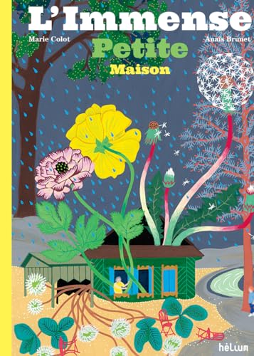 L'immense petite maison book cover