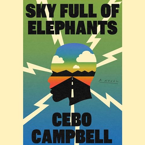 Sky Full of Elephants: A Novel