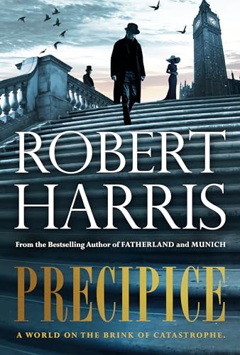 Precipice book cover