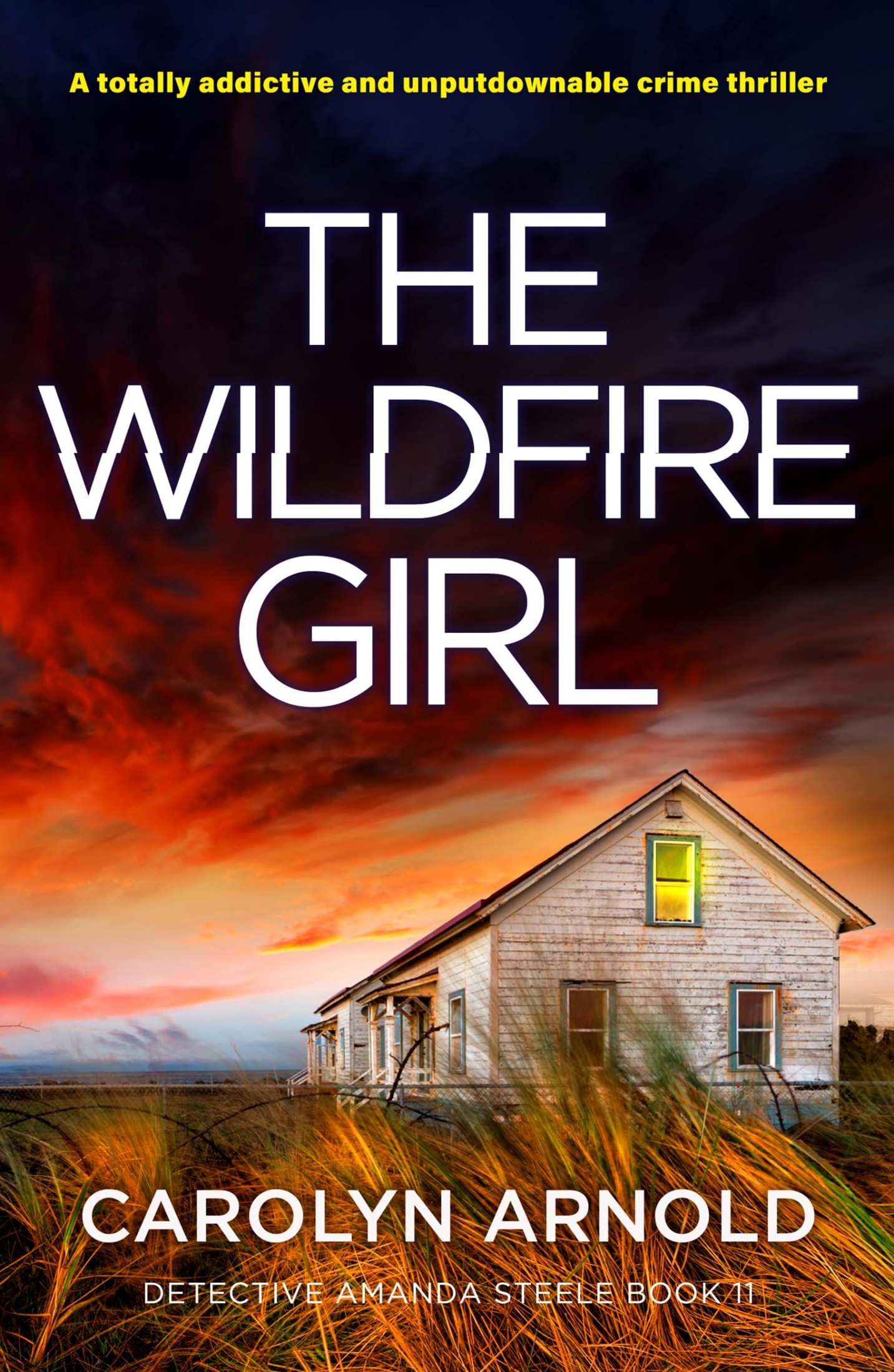 The Wildfire Girl book cover
