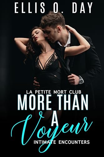More Than a Voyeur book cover