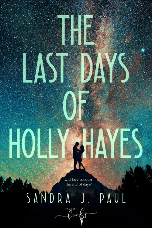 The Last Days of Holly Hayes book cover