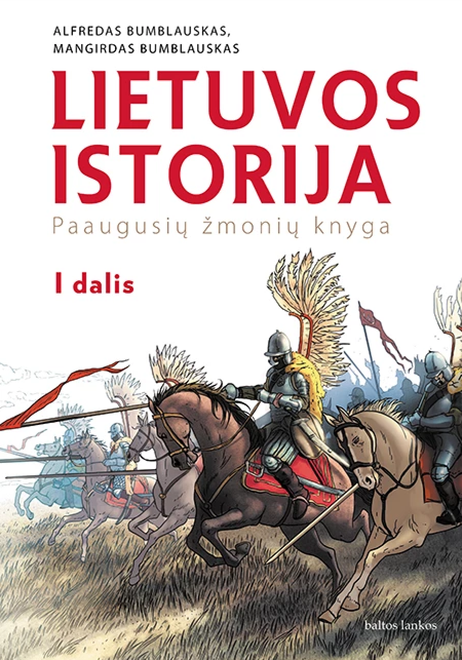 Lietuvos istorija: paaugusių žmonių knyga