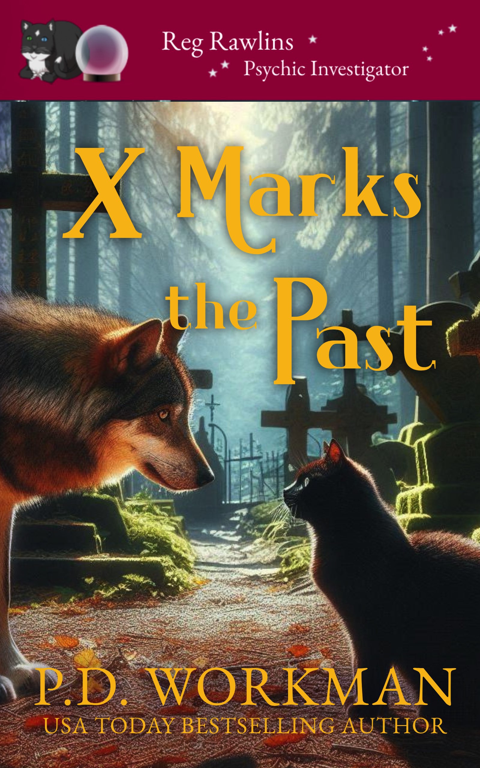X Marks the Past book cover