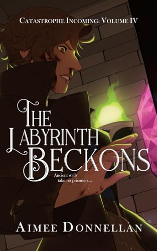 The Labyrinth Beckons (Catastrophe Incoming) by Aimee Donnellan | Goodreads