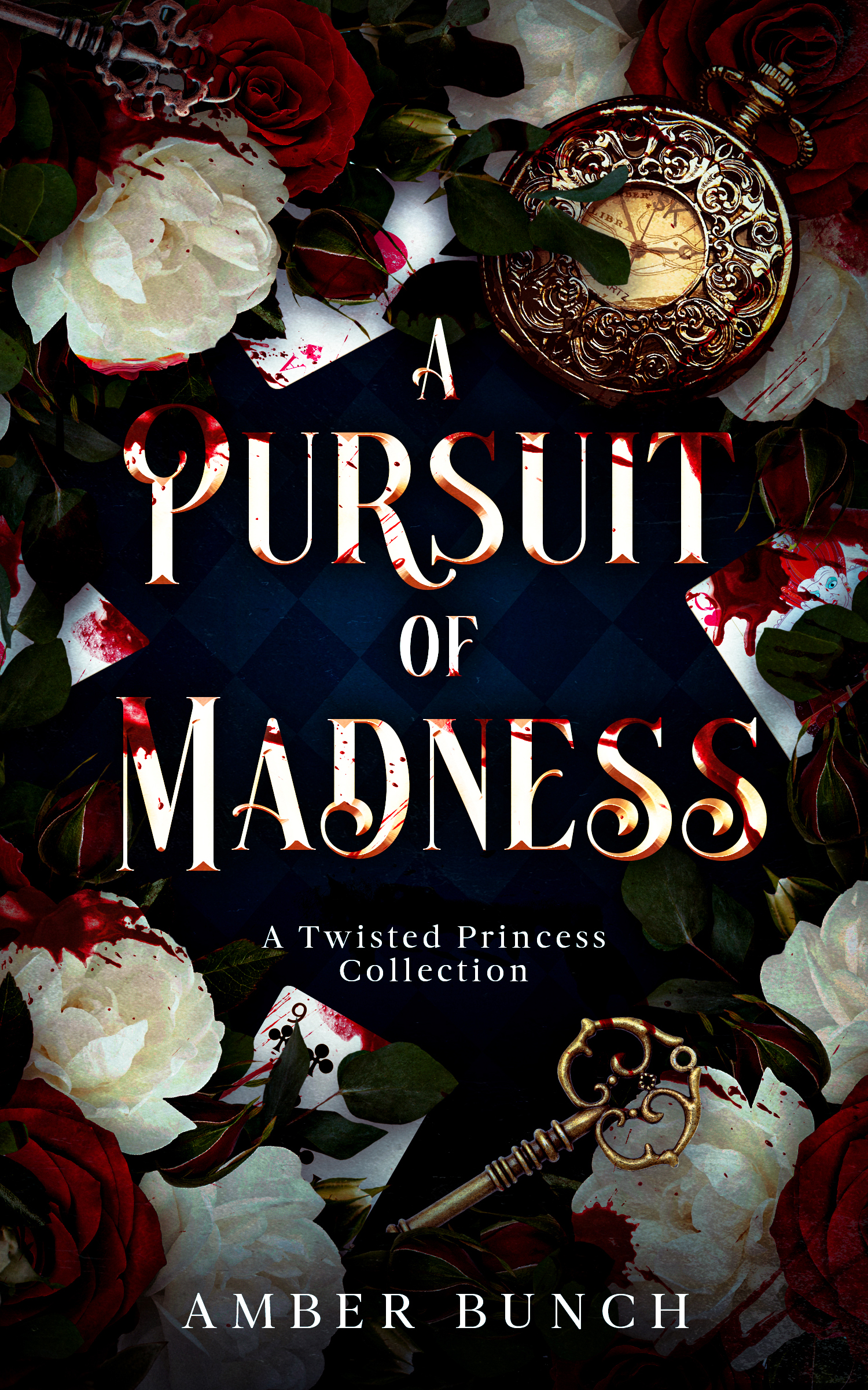 A Pursuit of Madness book cover