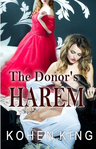 The Donor's Harem: Harem Adventure